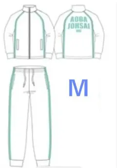 ハイキュー 青葉城西高校 コスプレ ジャージ L 練習着 - メルカリ