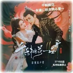 韓国ドラマ 麗〜花萌ゆる8人の皇子たち〜 OST特典ポスター イ