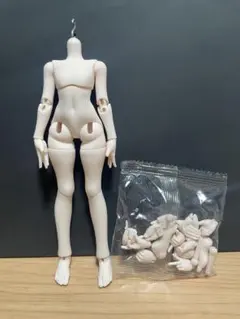 COME4FREE MINTY 海洋宝石 ミンティ2 ボディ ブラインドドール