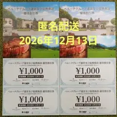 ベルーナグループ 優待割引券 4,000円分 有効期限2026年12月31日のサムネイル