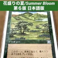 ミドルスクール