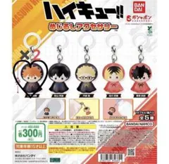 ハイキュー!! めじるしアクセサリー 日向翔陽