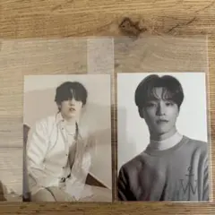 SEVENTEEN your choice トレカ エスクプス ディノ