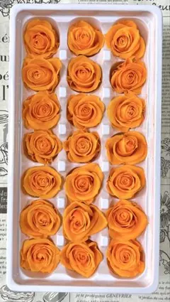 gun☆nao様 リクエスト 3点 まとめ商品