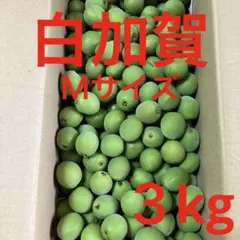 青梅 白加賀　Ｍサイズ ３kgのサムネイル