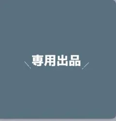 tt@プロフ確認ください^^様 リクエスト 2点 まとめ商品