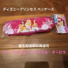 新品 ディズニープリンセス ペンケース カンペン 筆箱