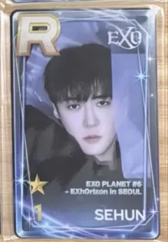 EXO exhorizon ディオ SUPERSTAR SMTOWN トレカ - メルカリ