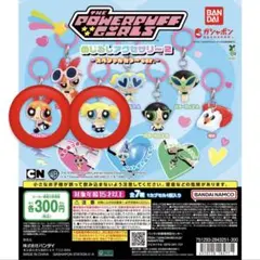 パワーパフガールズ　めじるしアクセサリー　スペシャルカラーVer 2種類