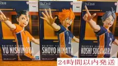 ハイキュー！！一本ナイッサー！！日向翔陽•西谷 夕•菅原孝支3点セット