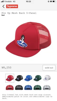 値下げSupreme Pin Up Mesh Back 5-Panel Red！