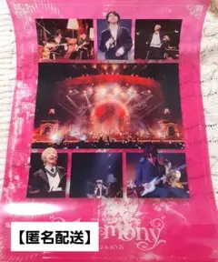 2026年最新】Mrs.GREEN apple ポスターの人気アイテム - メルカリ