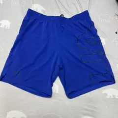 Under Armour HeatGear ショートパンツ XXL 青