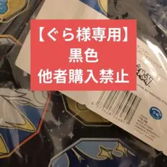 【ぐら様】ボストン補償品 （黒）