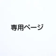 専用ページ