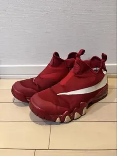 NIKE スニーカー25cm