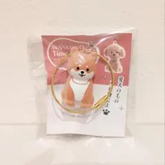 わんこのタイムカプセル 柴犬 まめ 愛犬 毛