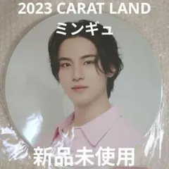 セブチ 7th CARAT LAND うちわ ミンギュ
