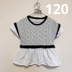 Item thumbnail for item 7d74b450-a2a9-4150-ba02-56fccc33cb6e