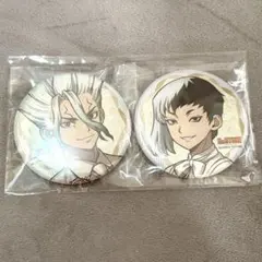 Dr.STONE DVDBOX3アニメイト特典 アクスタ 缶バッジ 千空 ゲン - メルカリ