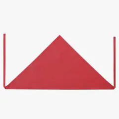 Item thumbnail for item be2e60ee-956e-41ac-aff8-1ea98dc5b37c