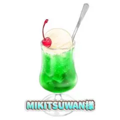 MIKITSUWAN様 リクエスト 2点 まとめ商品