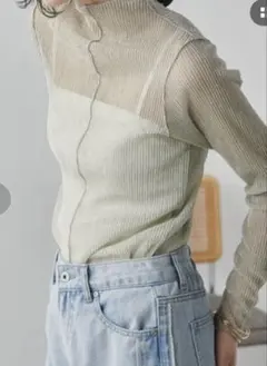 【美品　完売色】RANAN 前後2WAYラメプリーツシアーハイネックプルオーバー