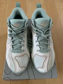 【美品】JORDAN ジョーダン テイタム3 tatum3 27.5cm