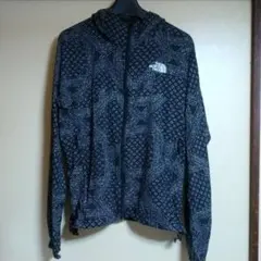 ノース・フェイス Novelty Swallowtail Hoodie