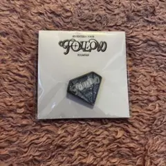 SEVENTEEN TOUR FOLLOW TO JAPAN 愛知ピンバッジ