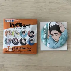 ハイキュー!! ブロックレン!! T賞 ちょいデカ缶バッジ 松川一静