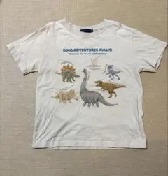 beams mini 恐竜Tシャツのサムネイル