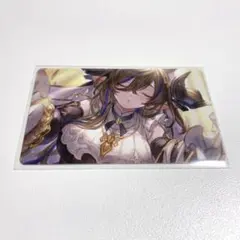グラブル GBVSR 秋葉原 トレカ トレーディング カード ガレヲン