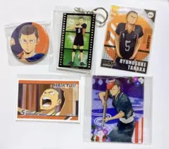ハイキュー　田中龍之介　まとめ売り