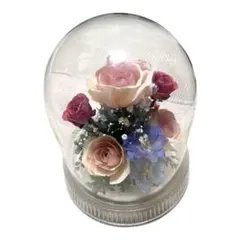 2025年最新】レンデフロール プリザーブドフラワーの人気アイテム