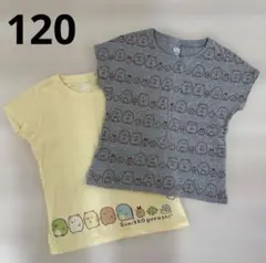 すみっコぐらし Tシャツ 2枚セット 120