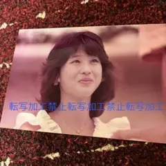 新品未使用 歌手松田聖子デビュー時 アイドル時代聖子ちゃんカット