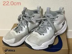 Item thumbnail for item 60e2b0fe-f40f-4c6a-b2ce-c7ebc7fd0f77