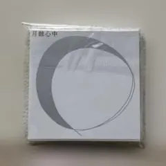 【未開封】月蝕心中 ジグソーパズル 100ピース 加藤シゲアキ NEWSpace