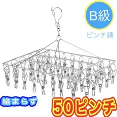 訳あり品 ハンガー ピンチハンガー ピンチ スカート ズボン ステンレス　錆