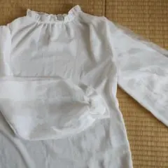 a25 華やか シフォン ブラウス 袖異素材