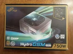 FSP Hydro GSM Lite PRO 750W