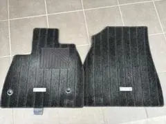 Item thumbnail for item f6bce512-04c1-491c-be17-eb246d6635a2