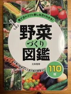 Item thumbnail for item 72d6d381-ef2d-47f7-ab47-1ec21b5414d3