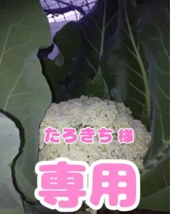 たろきち様✨専用