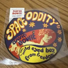 レア! DAVID BOWIE SPACE ODDITY ピクチャーレコード