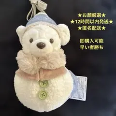 ダッフィー　シークレットオブスノーウィーデイ ショルダーバッグ　ディズニーシー