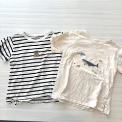 プティマイン Tシャツ　130cm 2枚セット