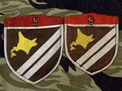 処分 陸上自衛隊 部隊章 私物 PX 北海道 第2師団 ワッペン ジャンク