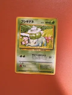 ポケモンカード eシリーズ フシギダネ スターターパック 002/029